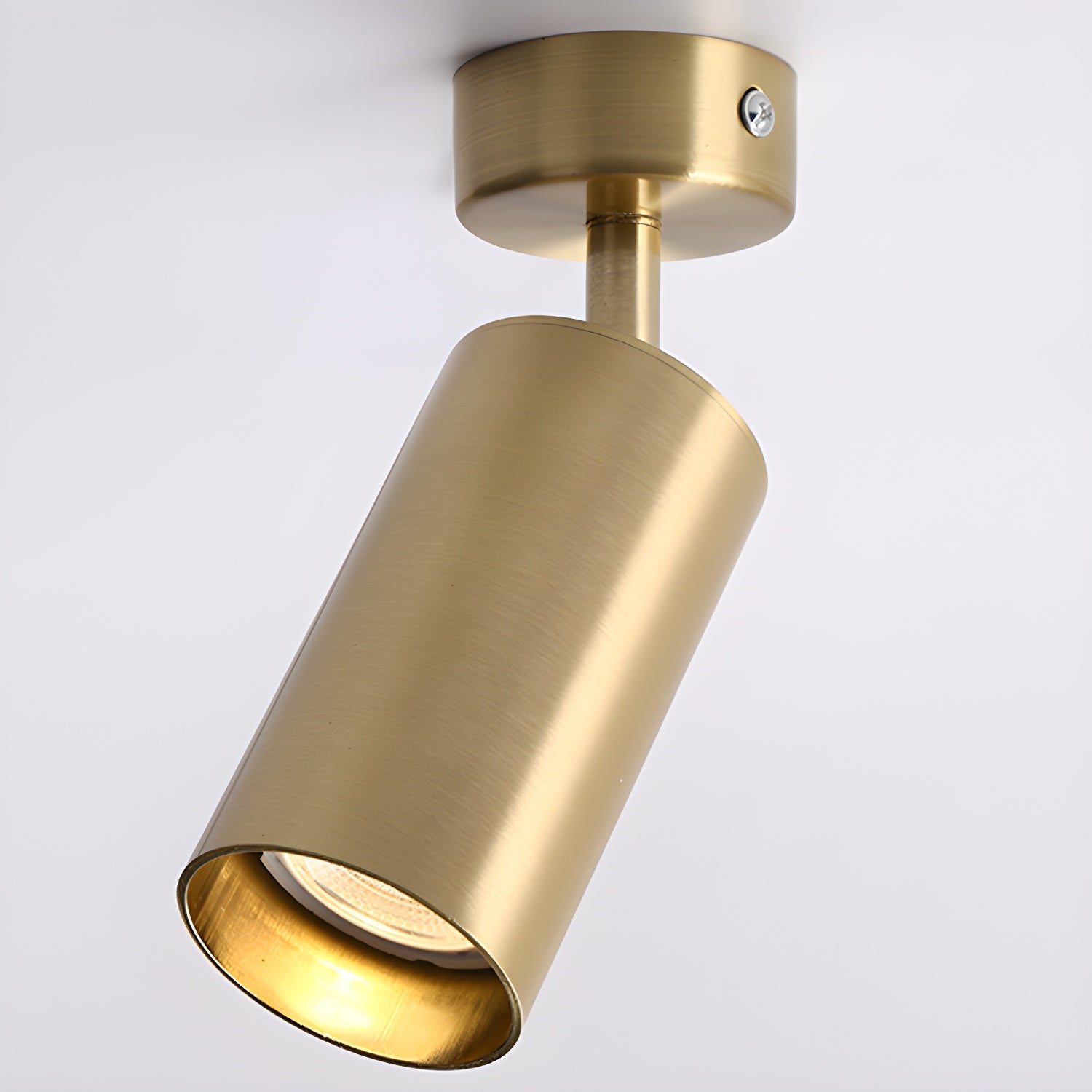Lampada da soffitto Alzo Spotlight