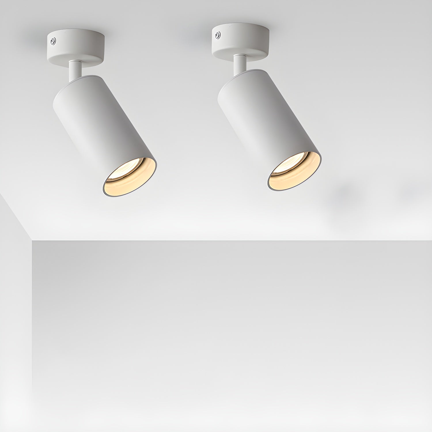 Lampada da soffitto Alzo Spotlight
