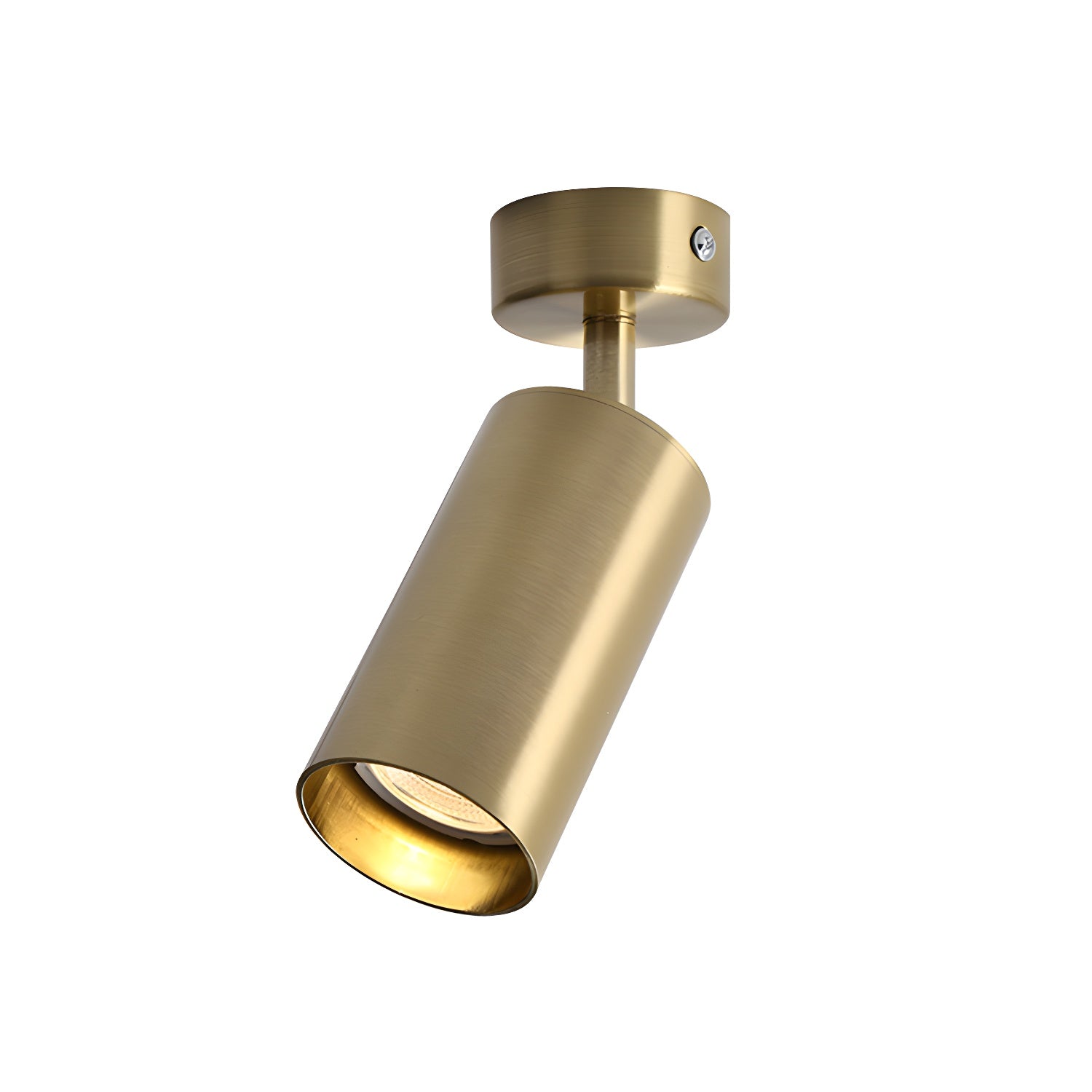 Lampada da soffitto Alzo Spotlight