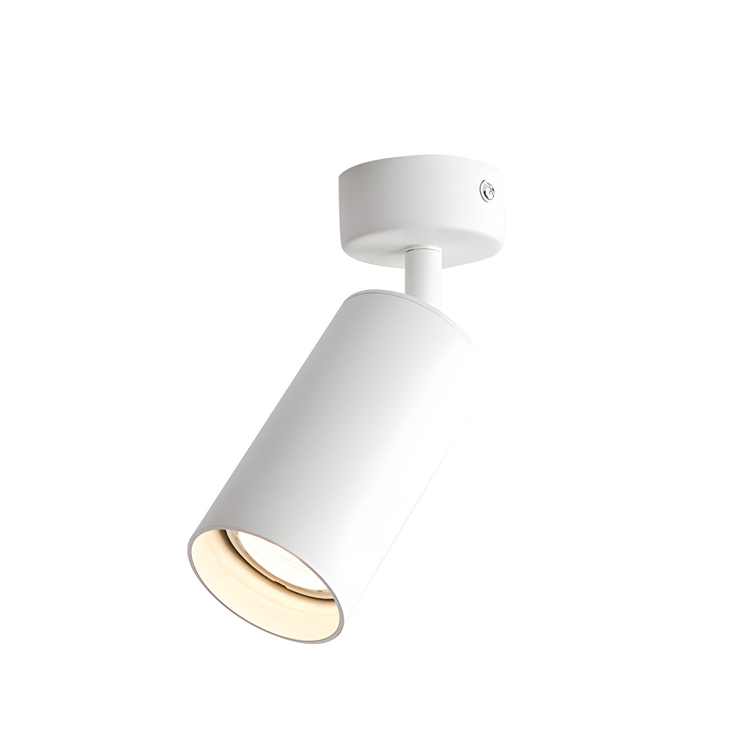 Lampada da soffitto Alzo Spotlight