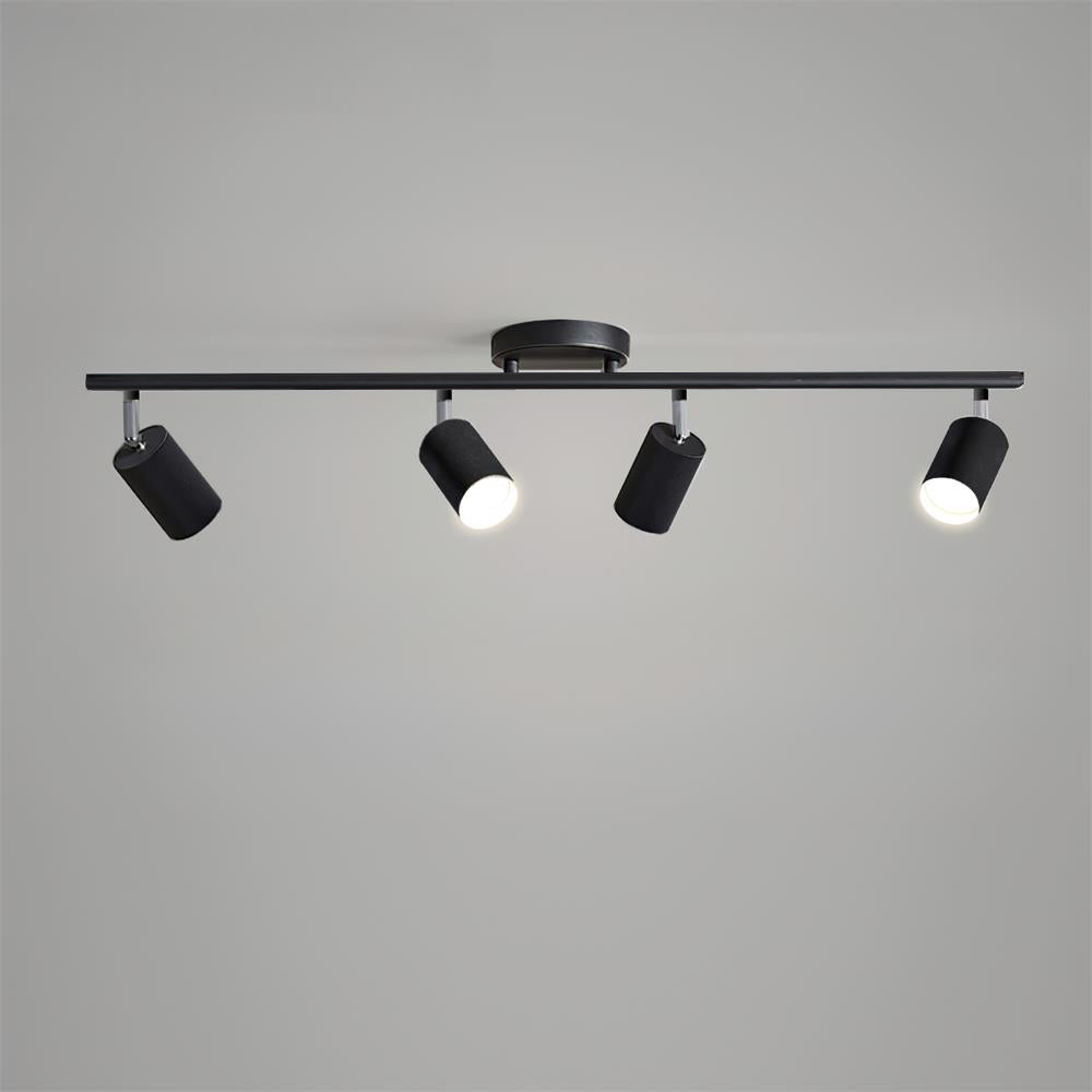 Givento Plafondlamp