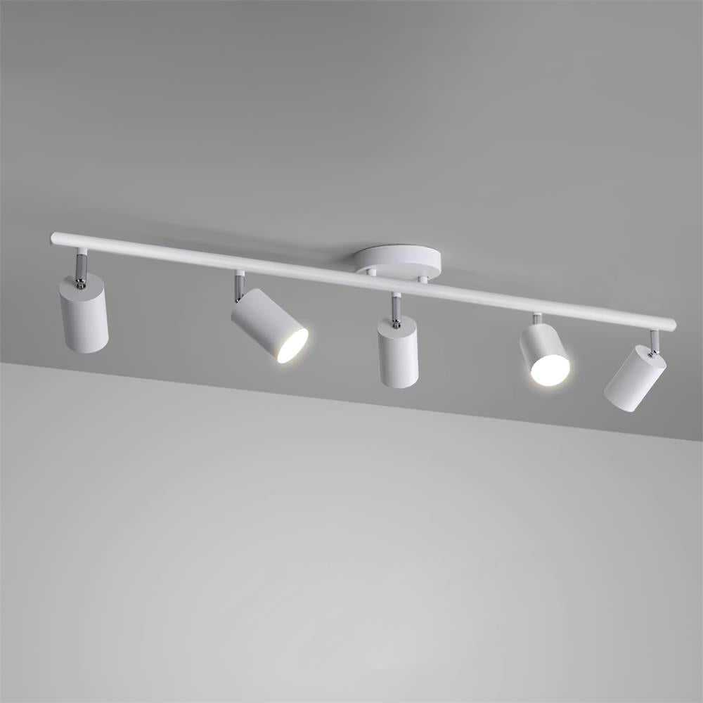 Givento Plafondlamp