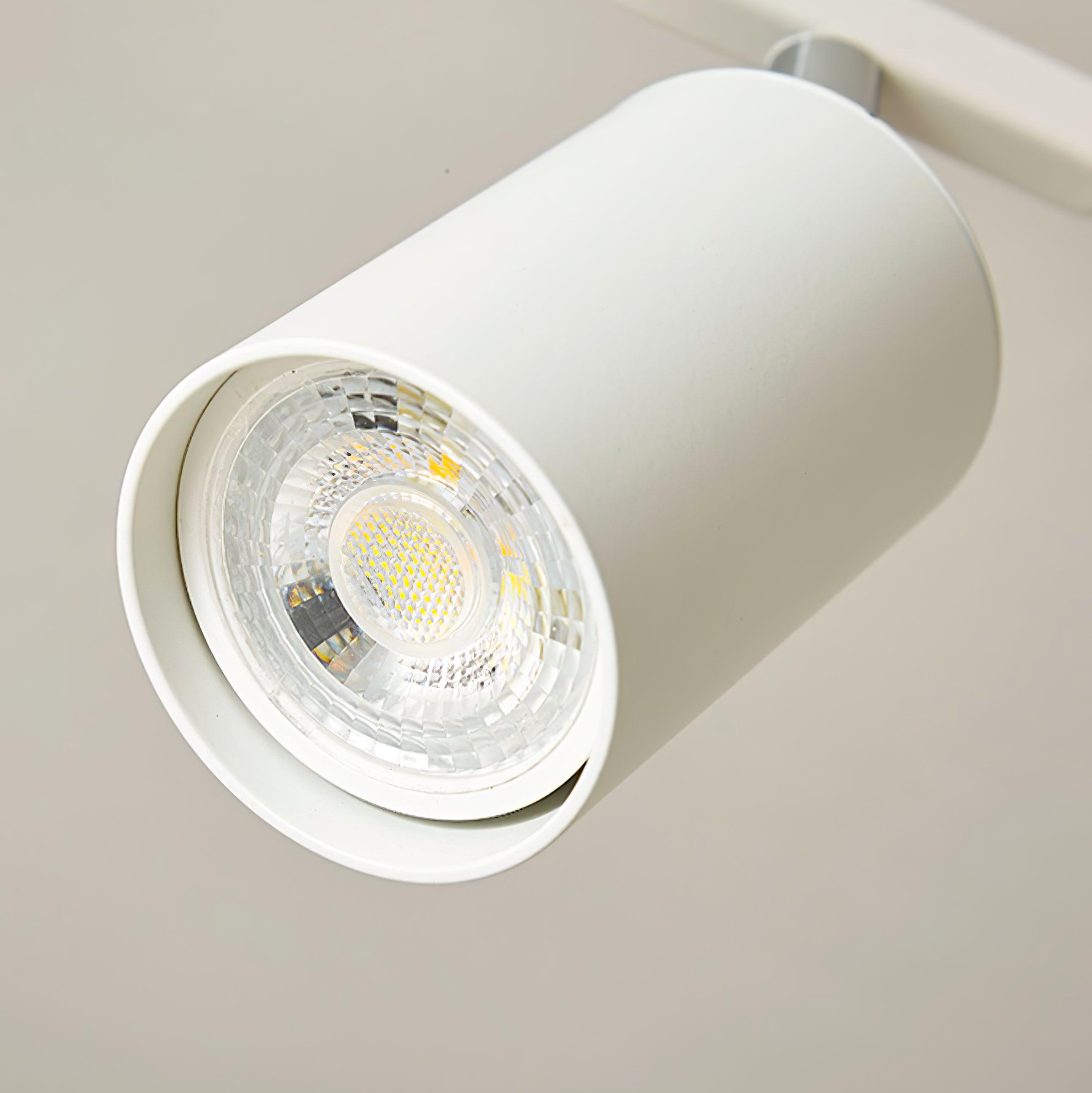 Givento Plafondlamp