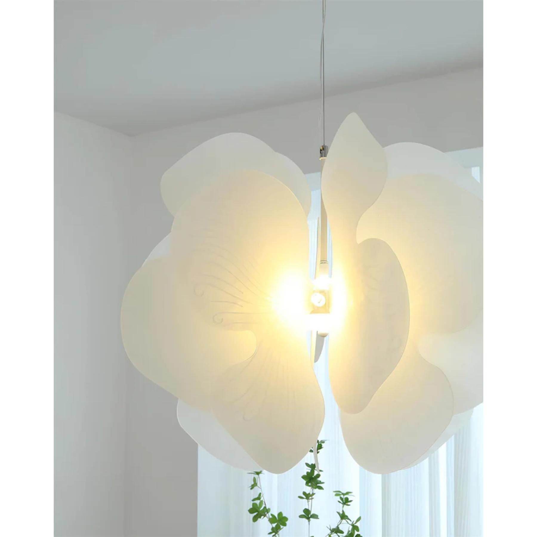 Bolife Hanglamp