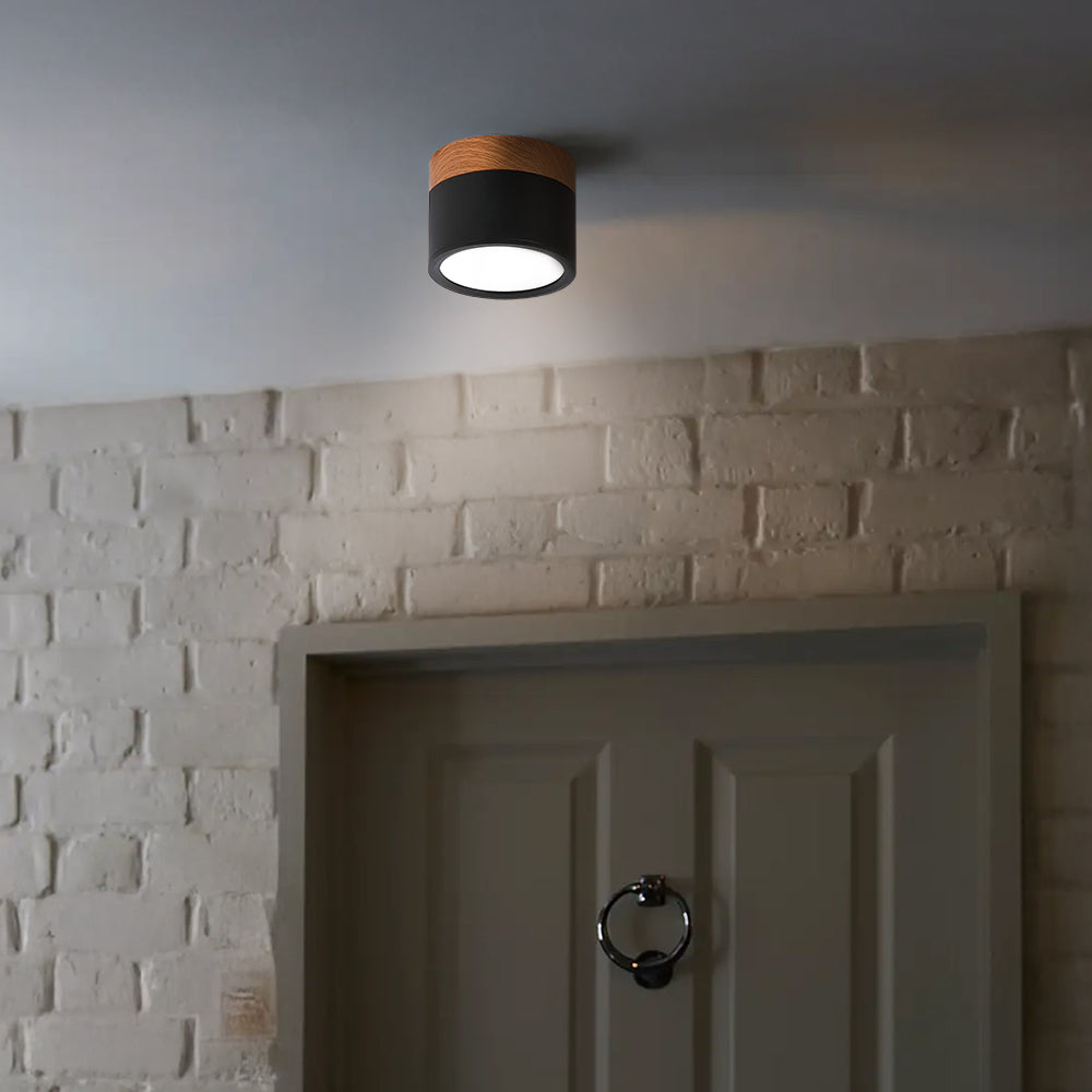 Cylinder Kleine Plafondlamp