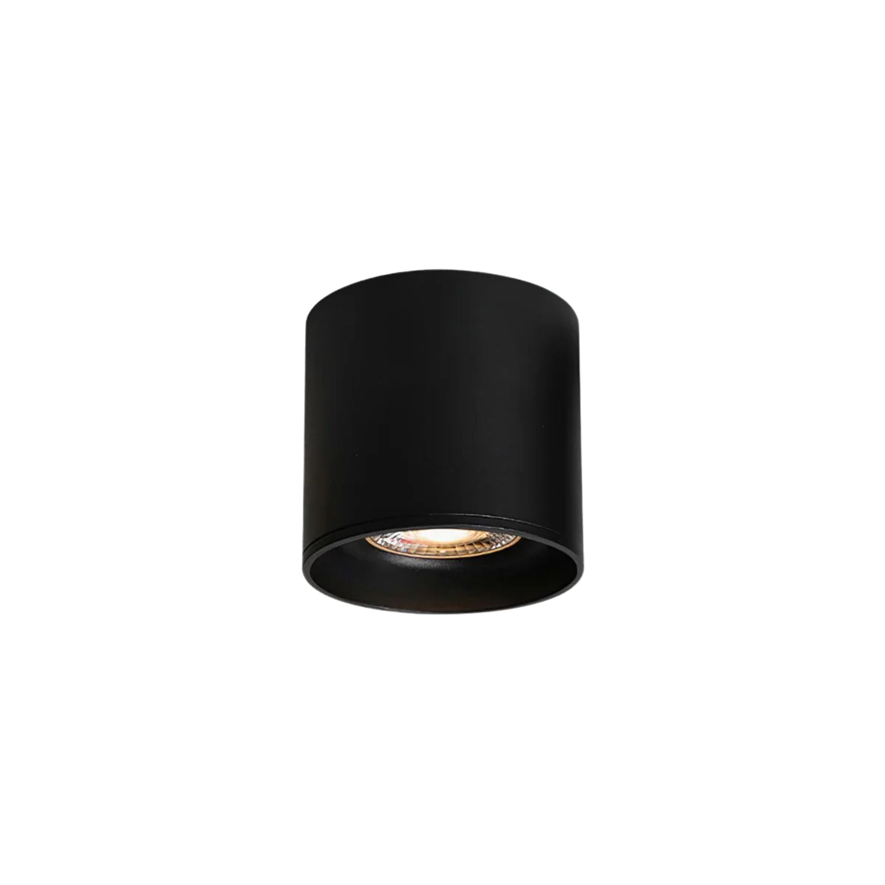Lenu Cylinder Plafondlamp