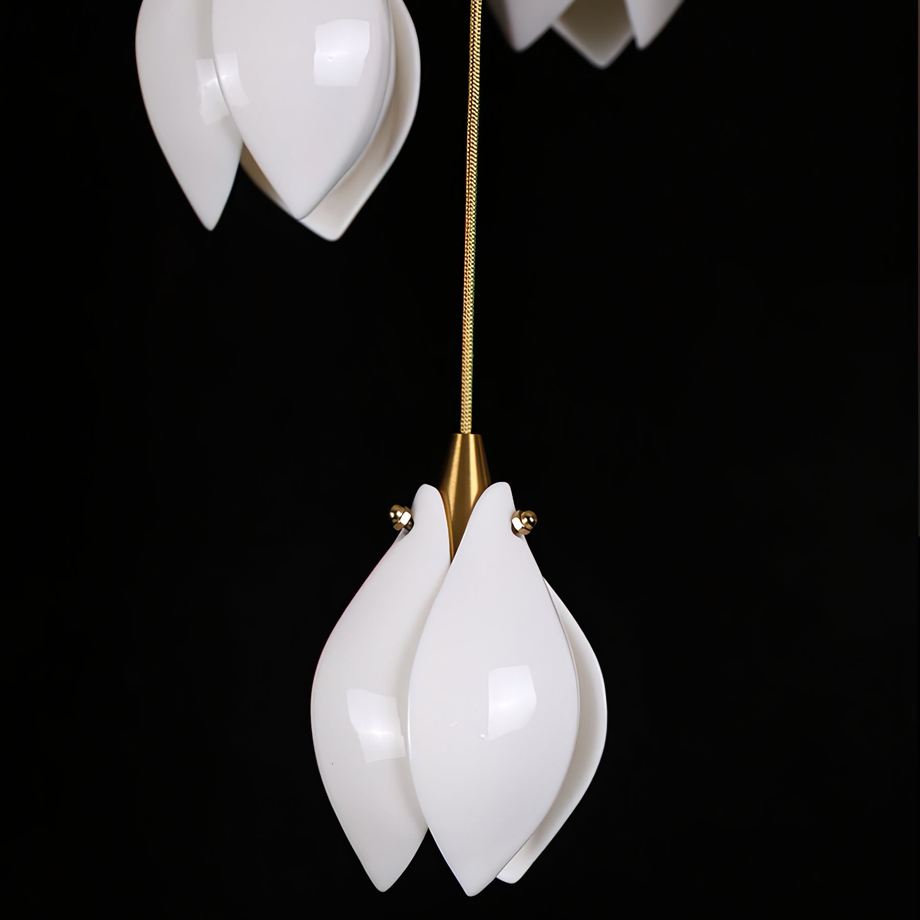 Gryvon Hanglamp