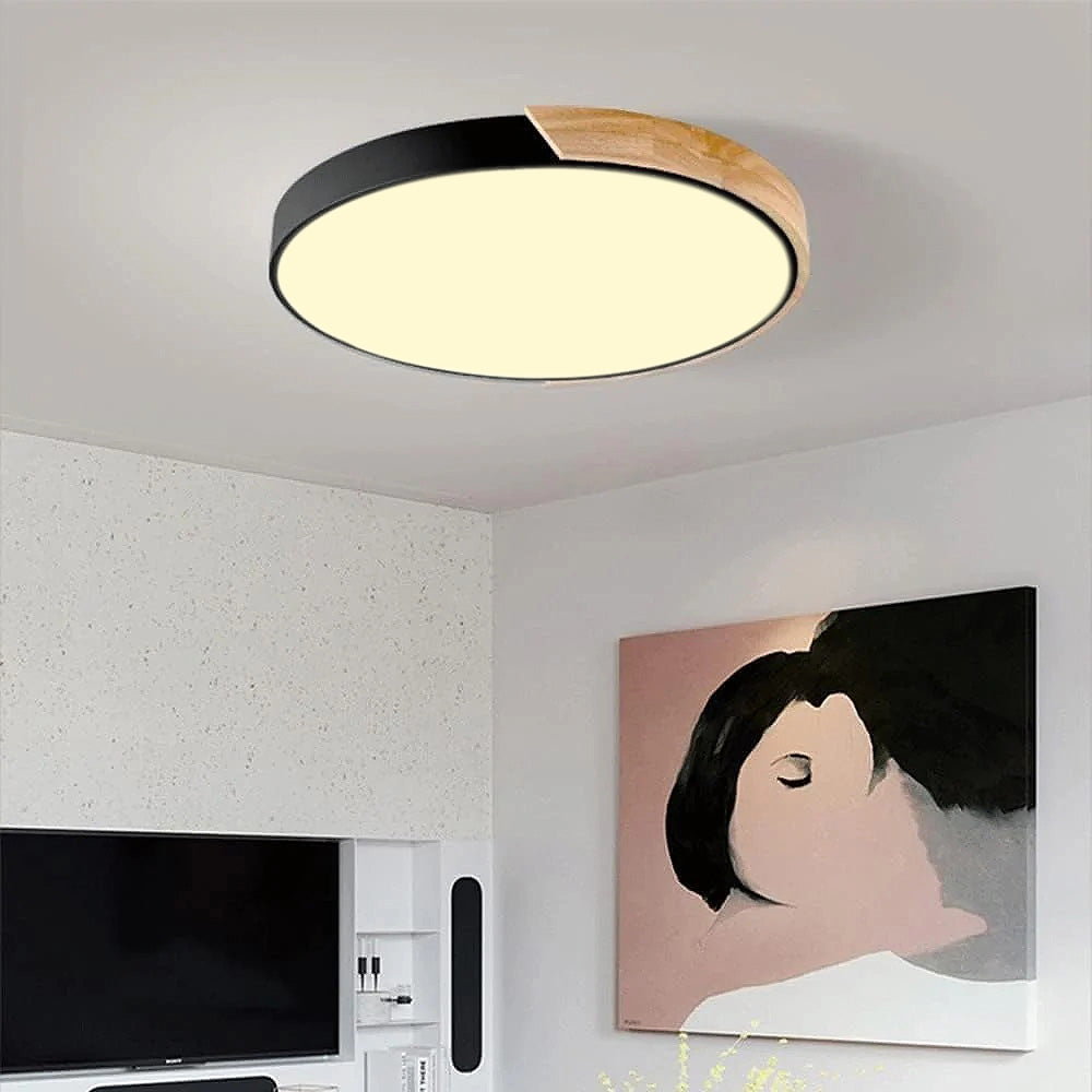 Haslon Ronde Plafondlamp