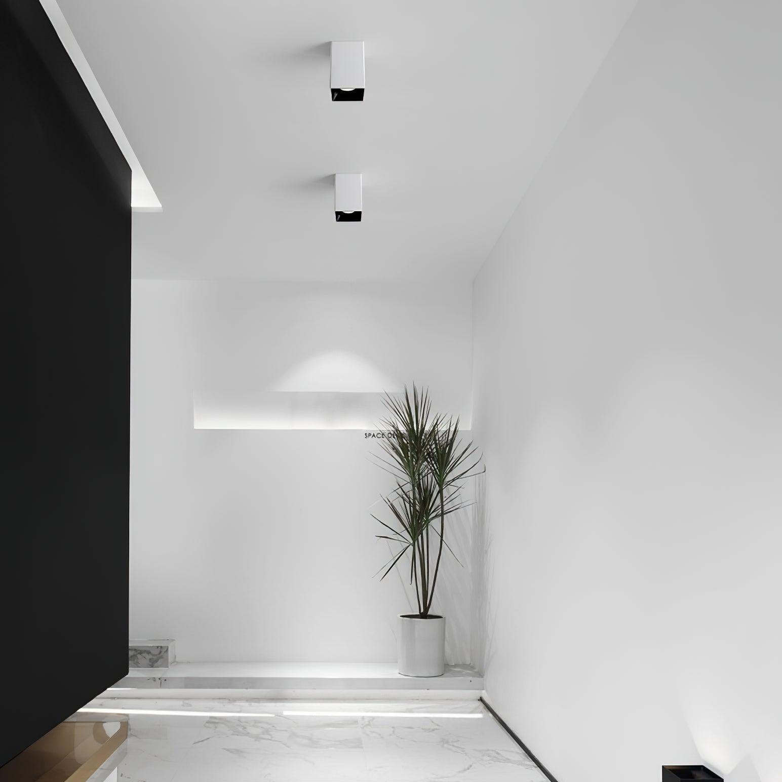 Cublo Plafondlamp