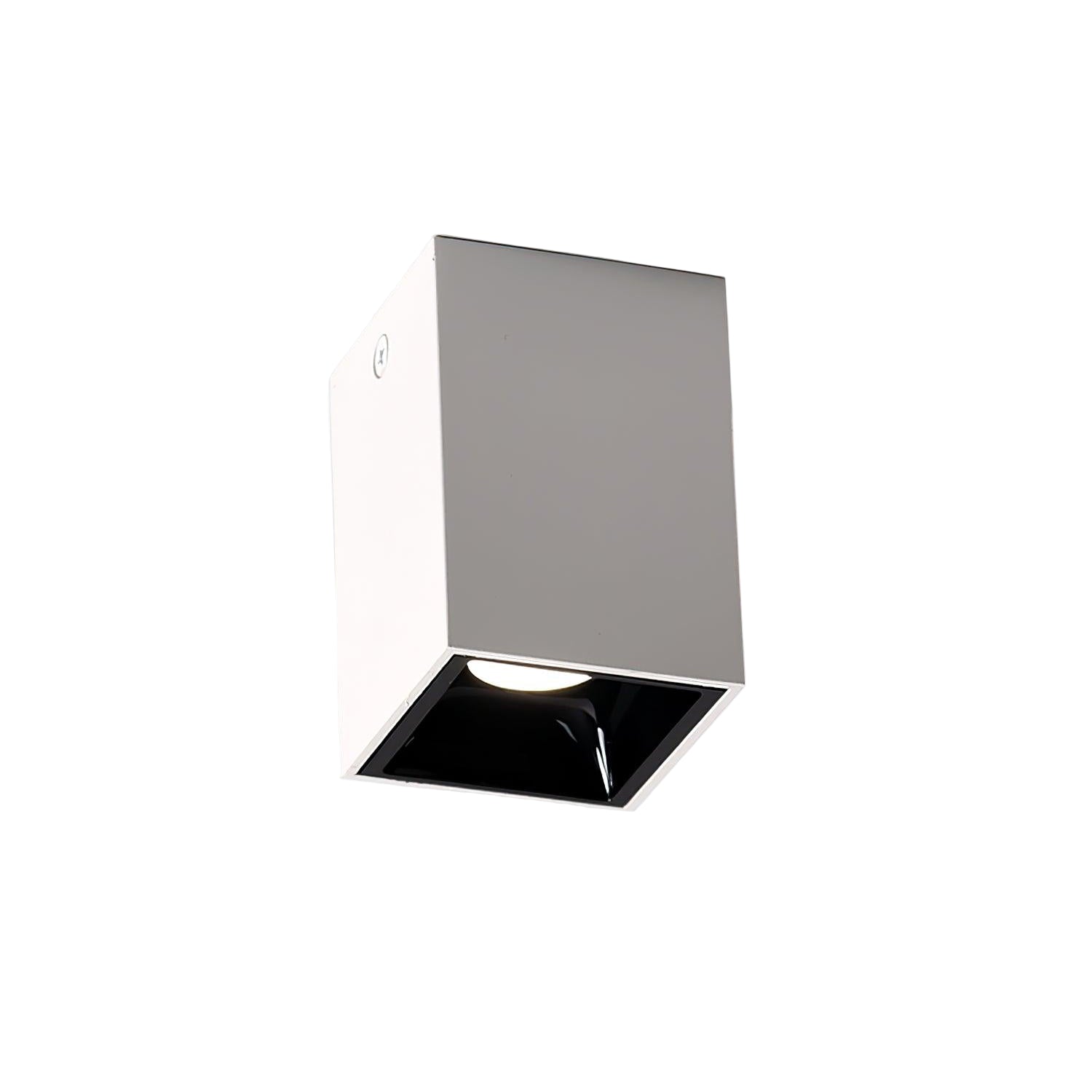 Cublo Plafondlamp