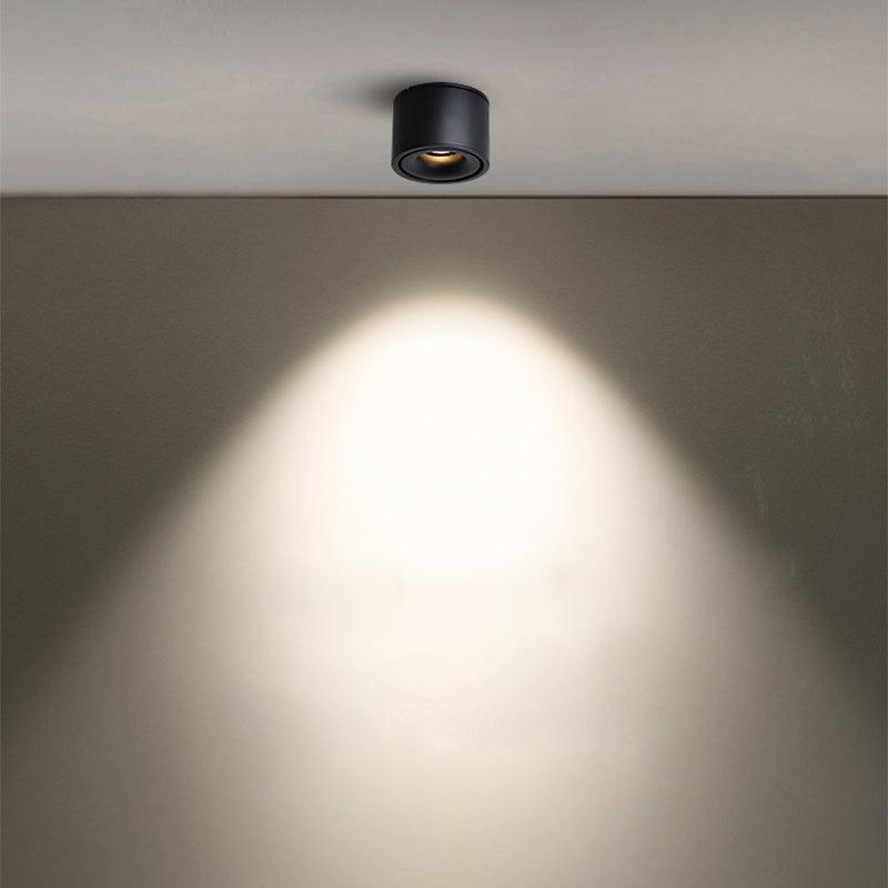 Kolvon Plafondlamp