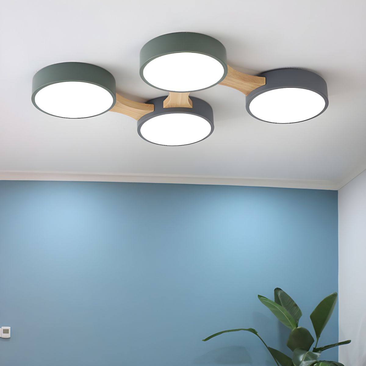 Bridon Plafondlamp