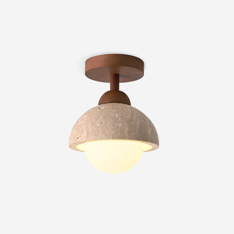 Delvoro Plafondlamp