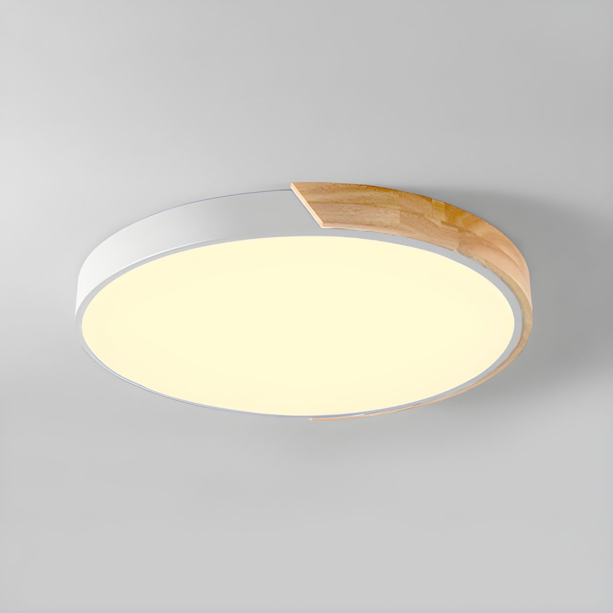 Haslon Ronde Plafondlamp
