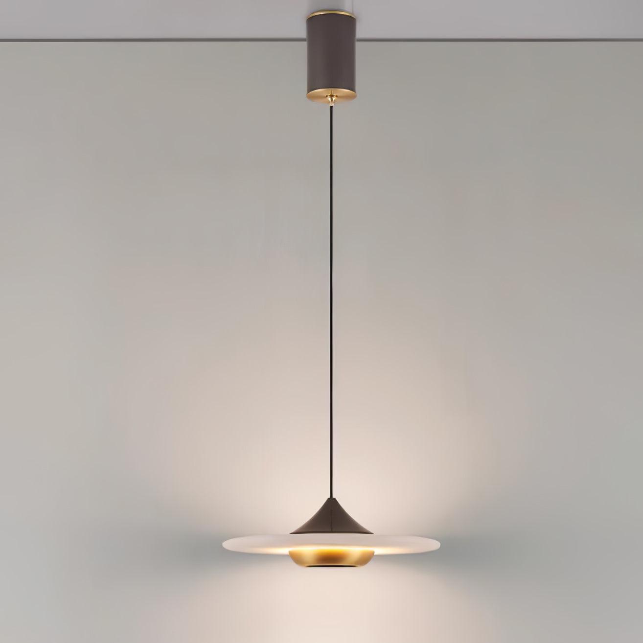 Plaque Hanglamp