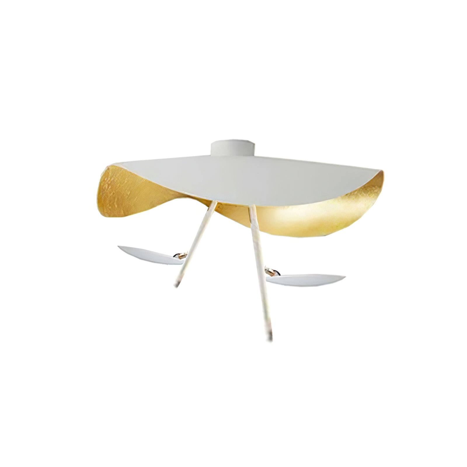 Georgoa Plafondlamp