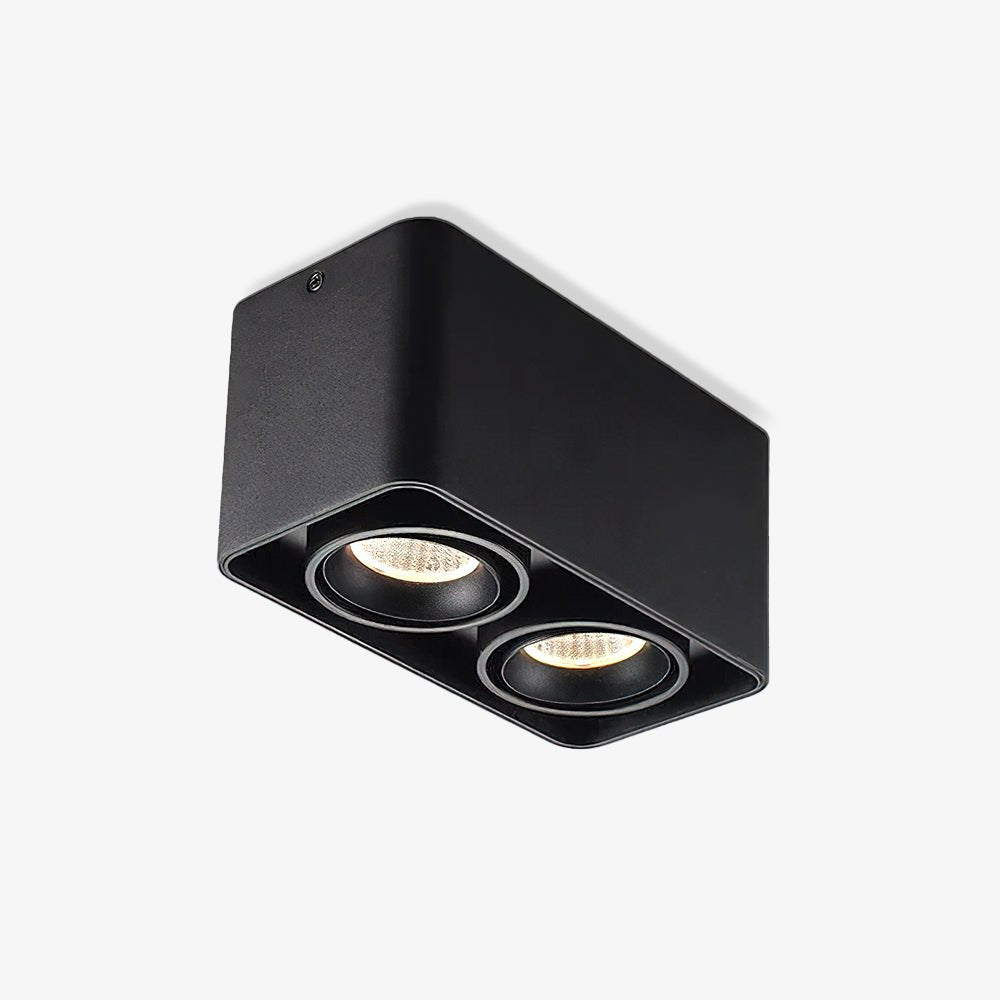 Dolzor Plafondlamp