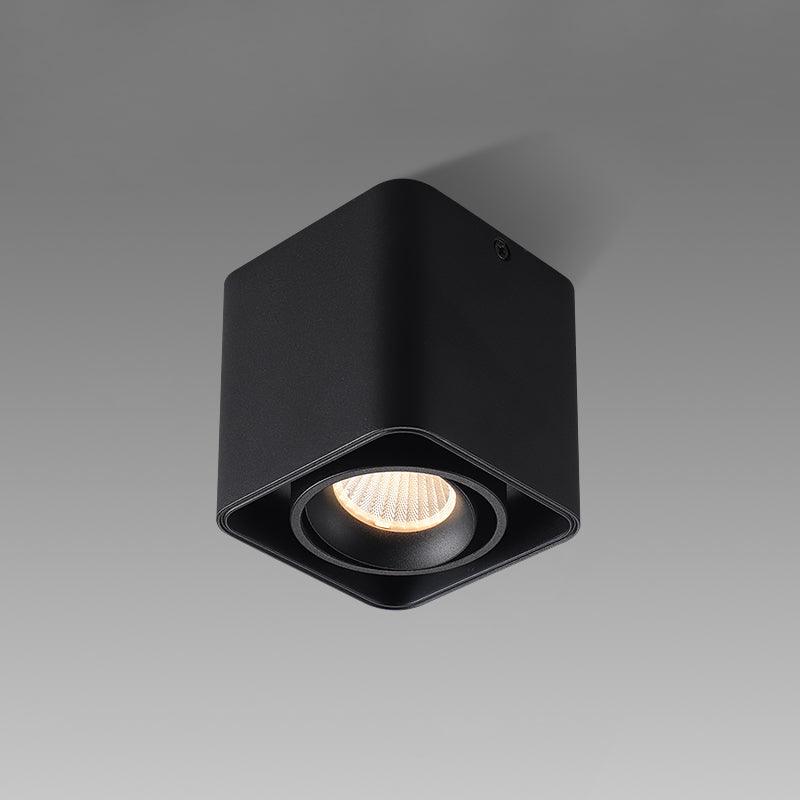 Dolzor Plafondlamp