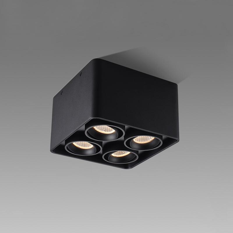 Dolzor Plafondlamp