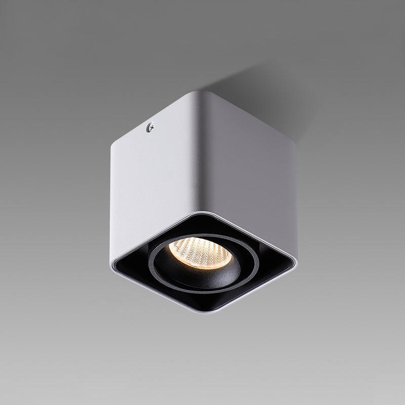 Dolzor Plafondlamp