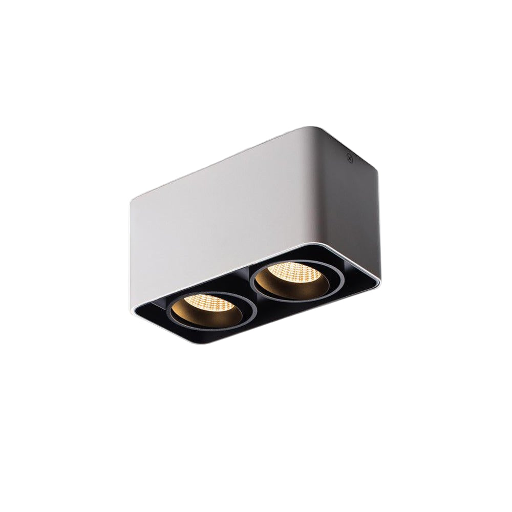 Dolzor Plafondlamp