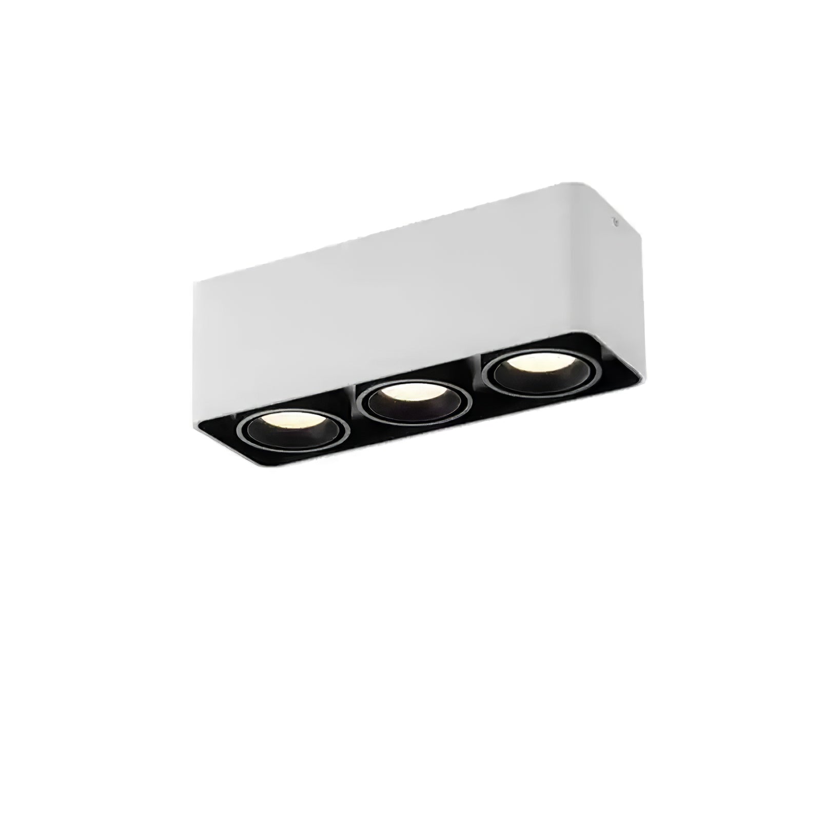 Dolzor Plafondlamp