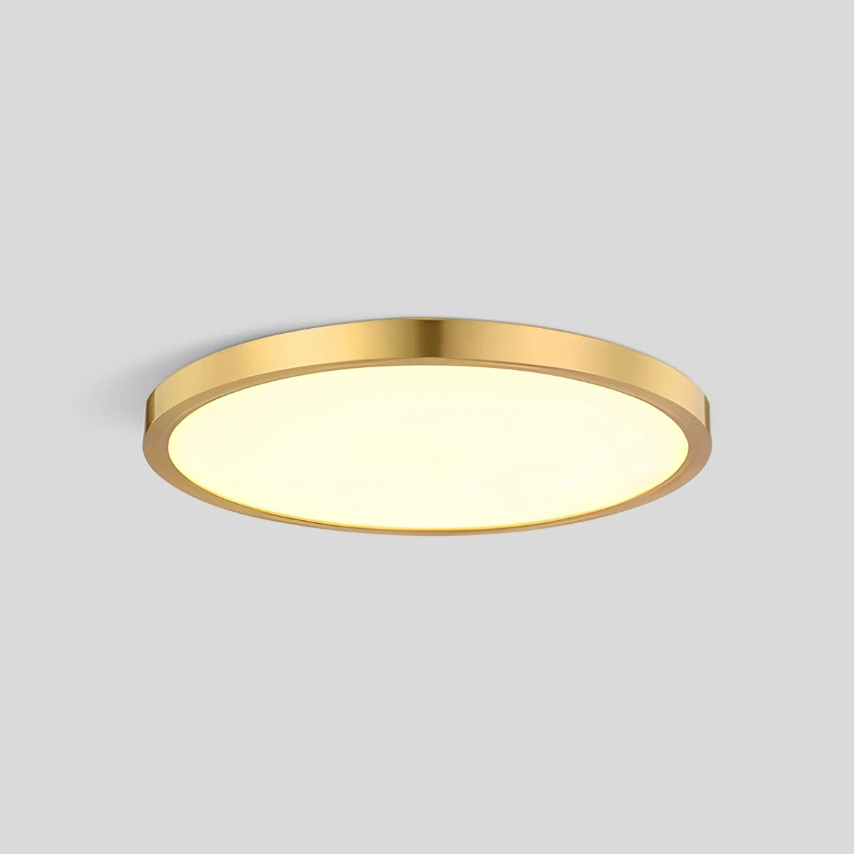 Disculon Plafondlamp