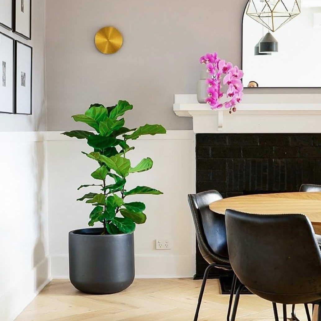 Gysso Wandlamp