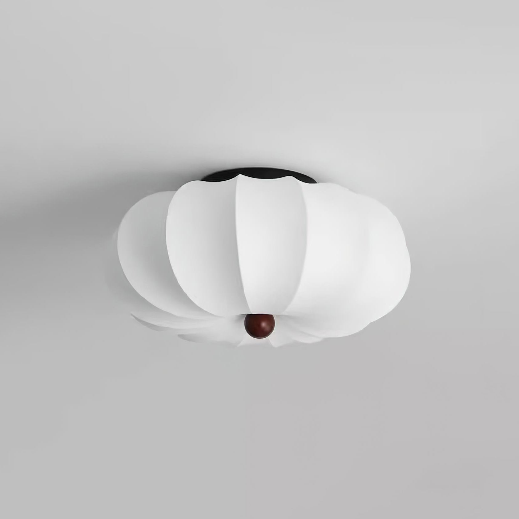 Prozon Plafondlamp