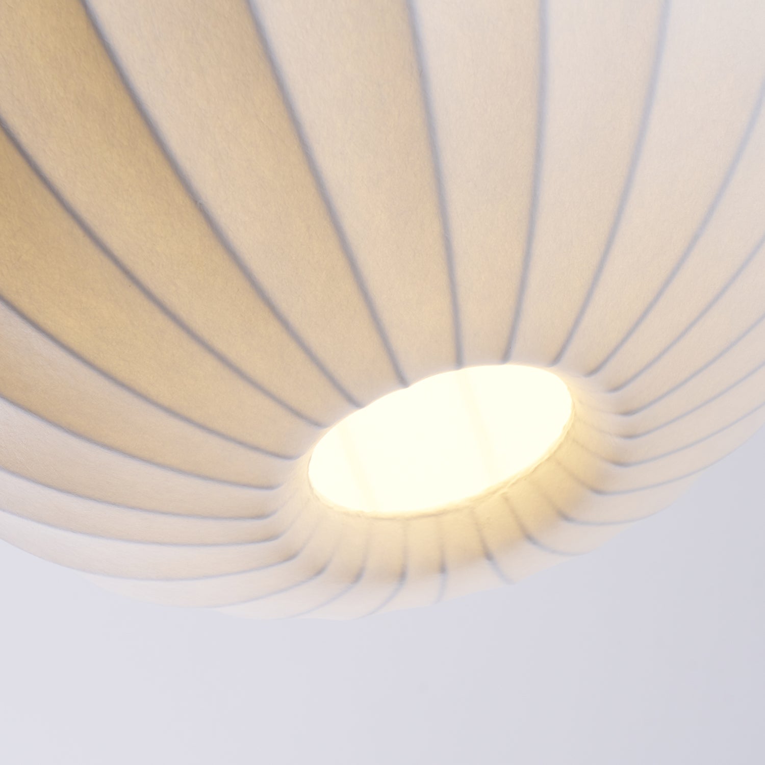 Renkoy Hanglamp