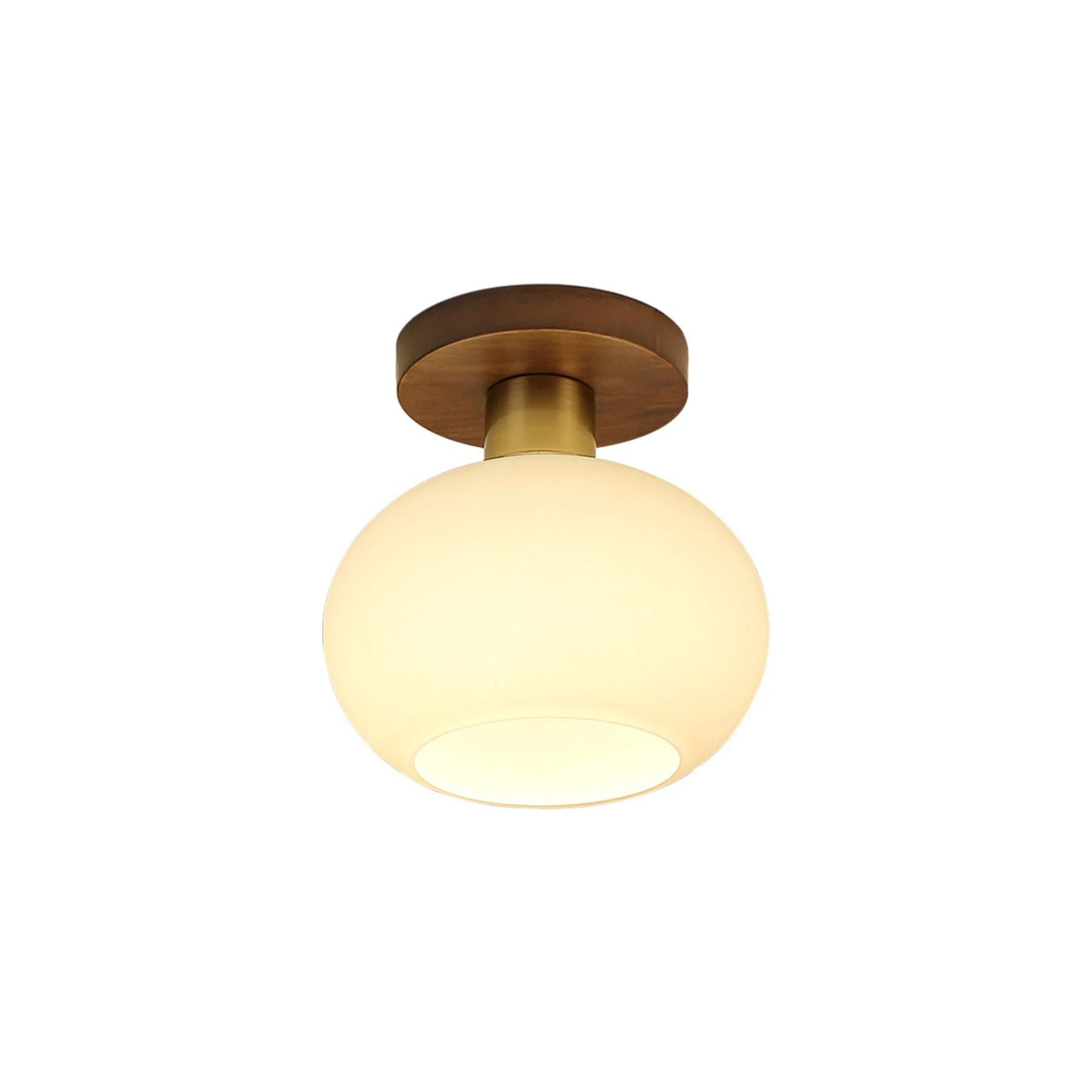 Pluvo Plafondlamp