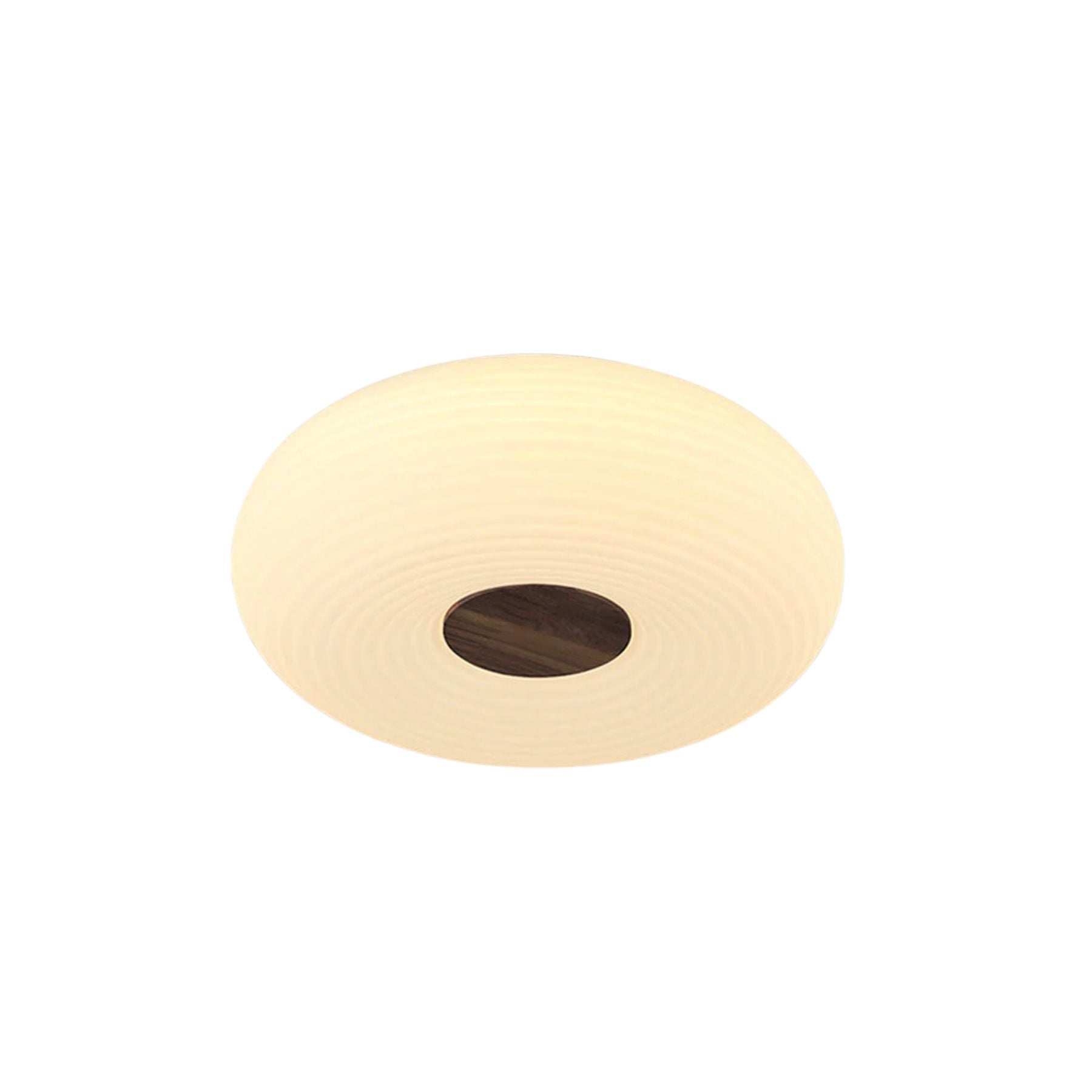 Papulon Plafondlamp