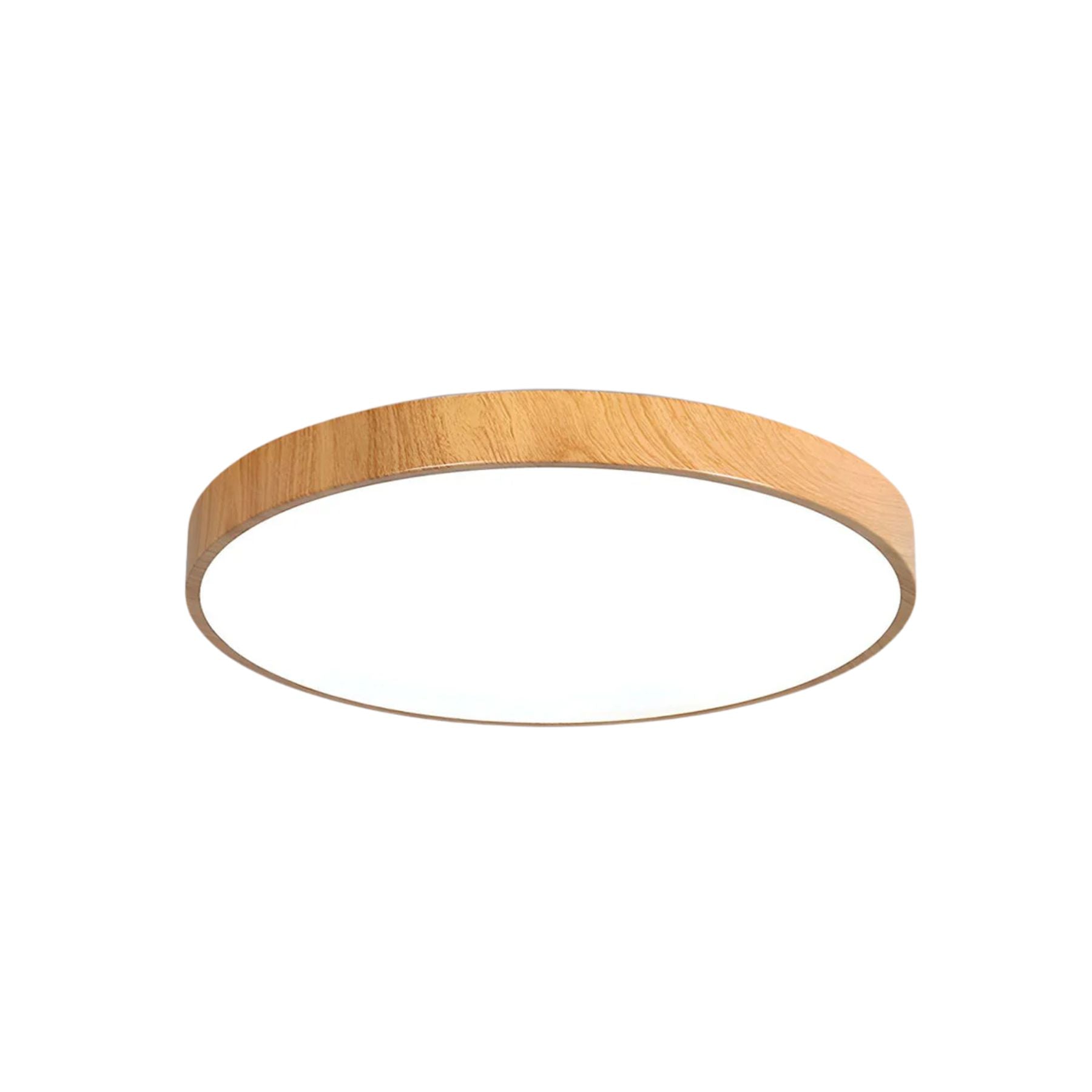 Concize Disc Plafondlamp