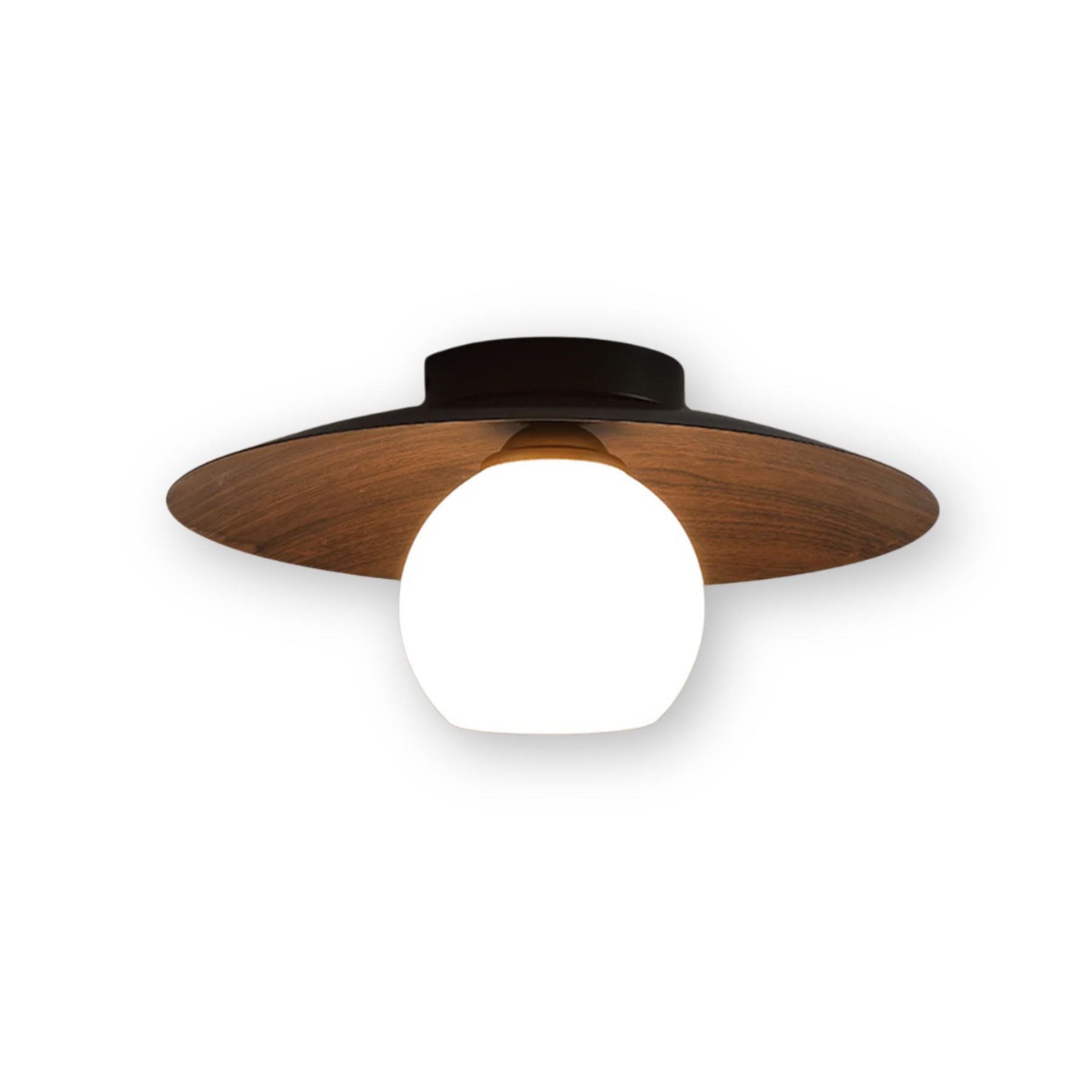 Entaro Plafondlamp