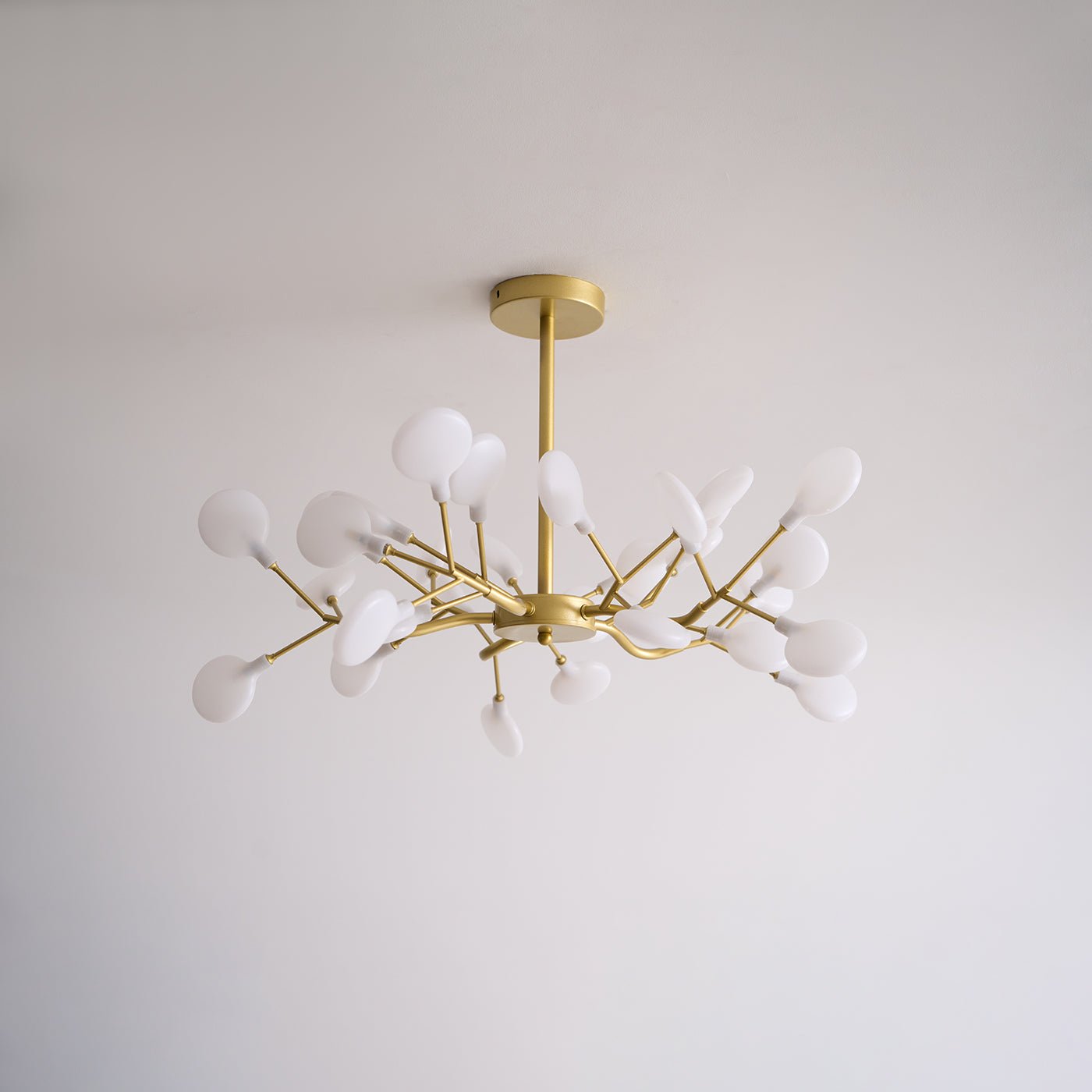 Filonea Hanglamp
