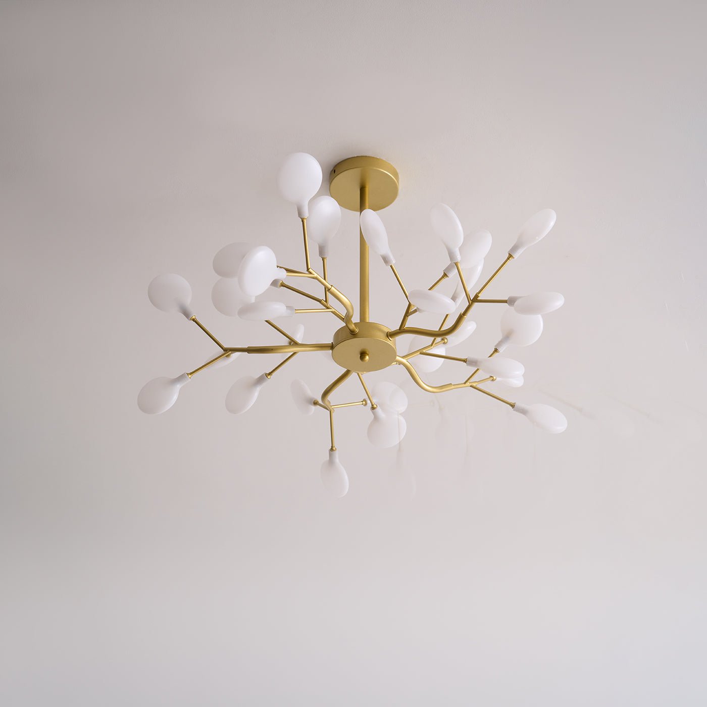Filonea Hanglamp