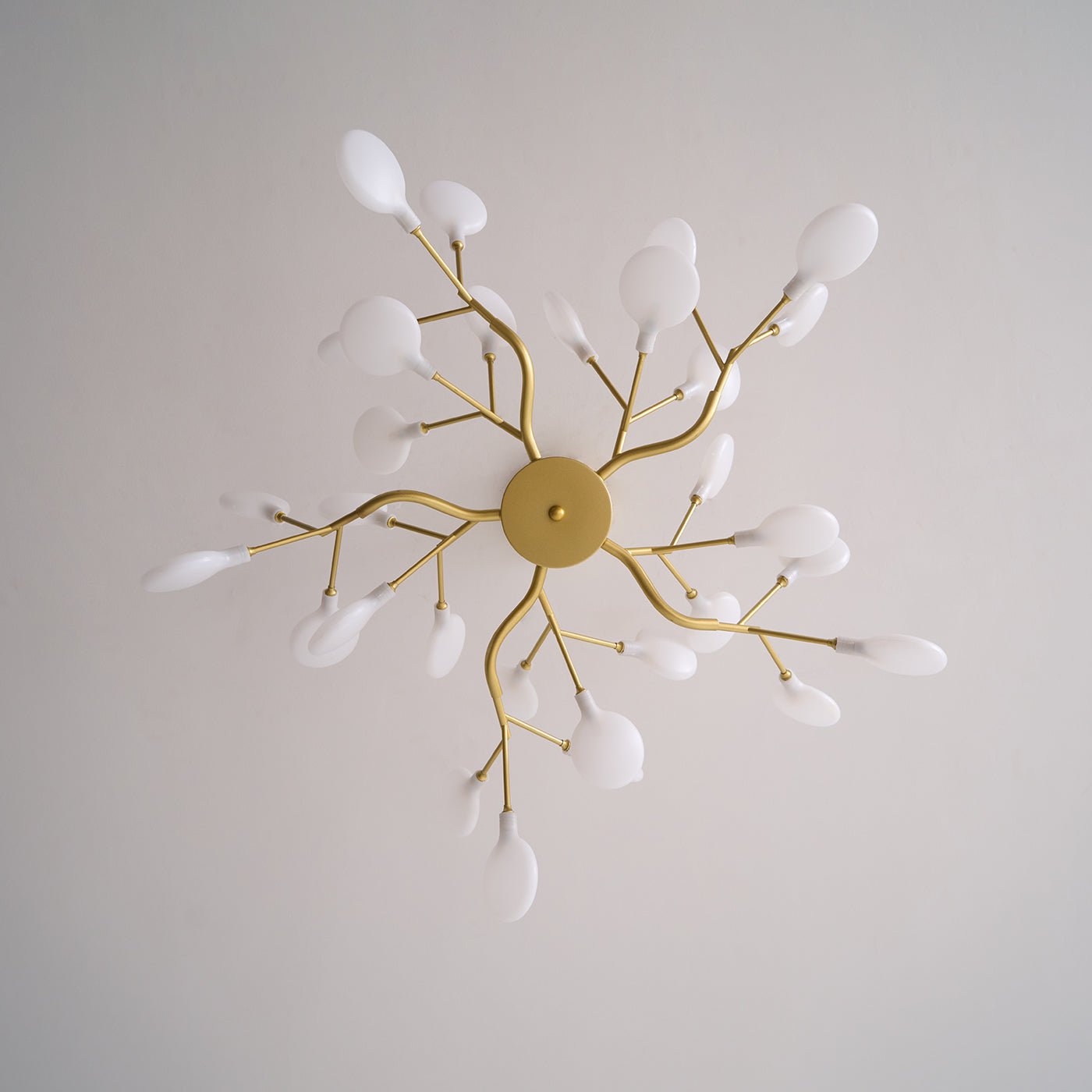 Filonea Hanglamp