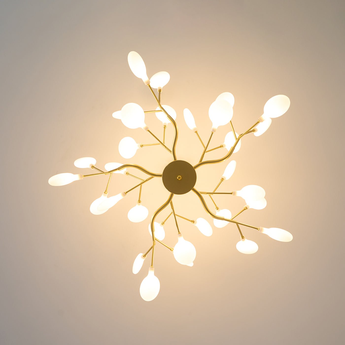Filonea Hanglamp