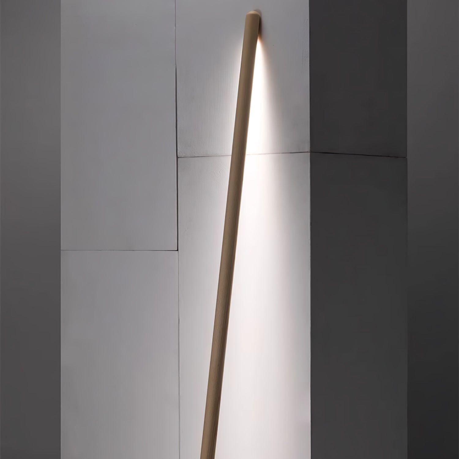 Lampada da terra Muur Assist