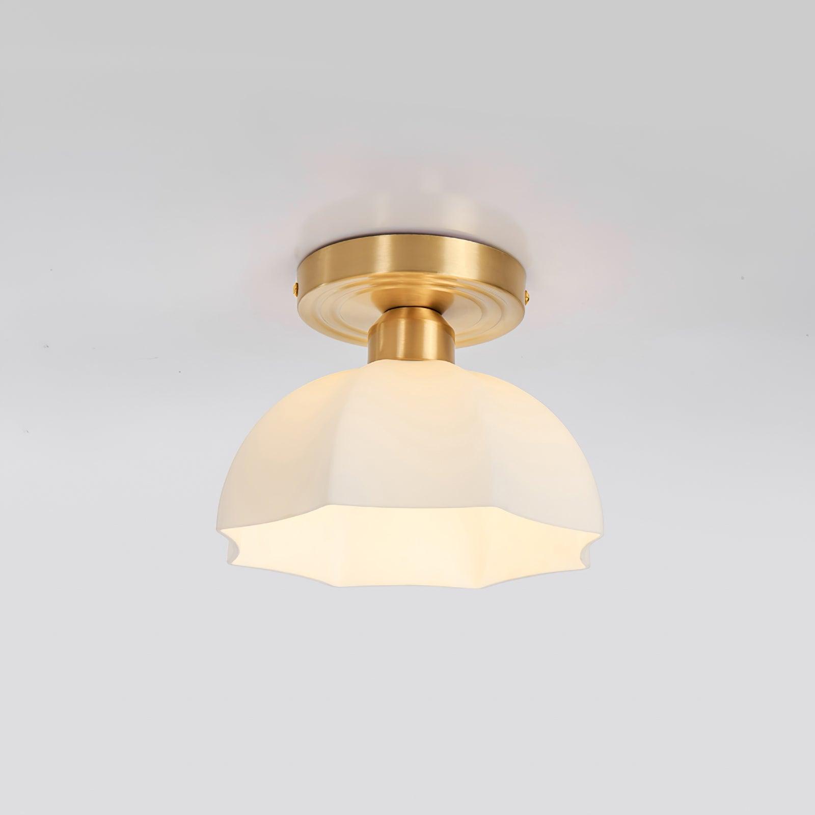 Lynzor Plafondlamp