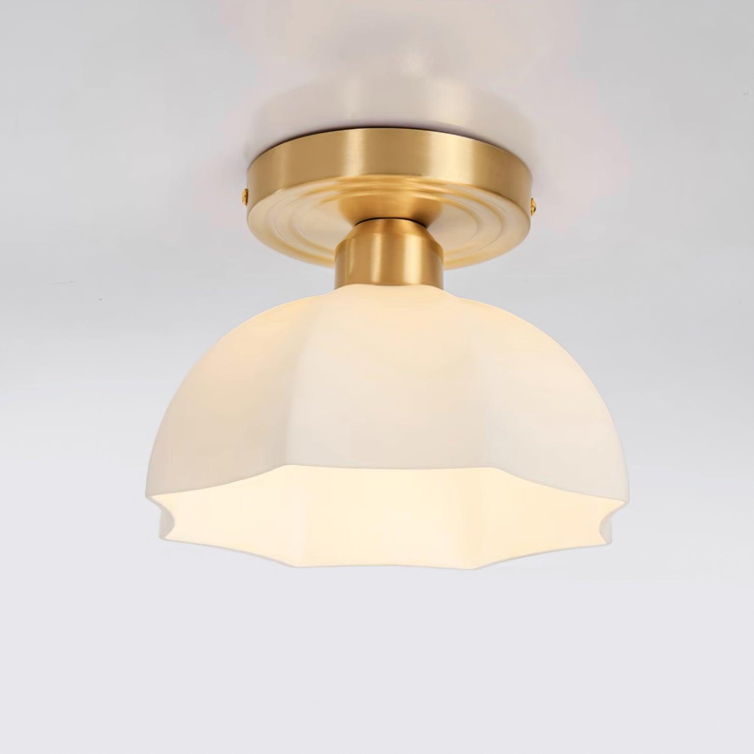 Lynzor Plafondlamp