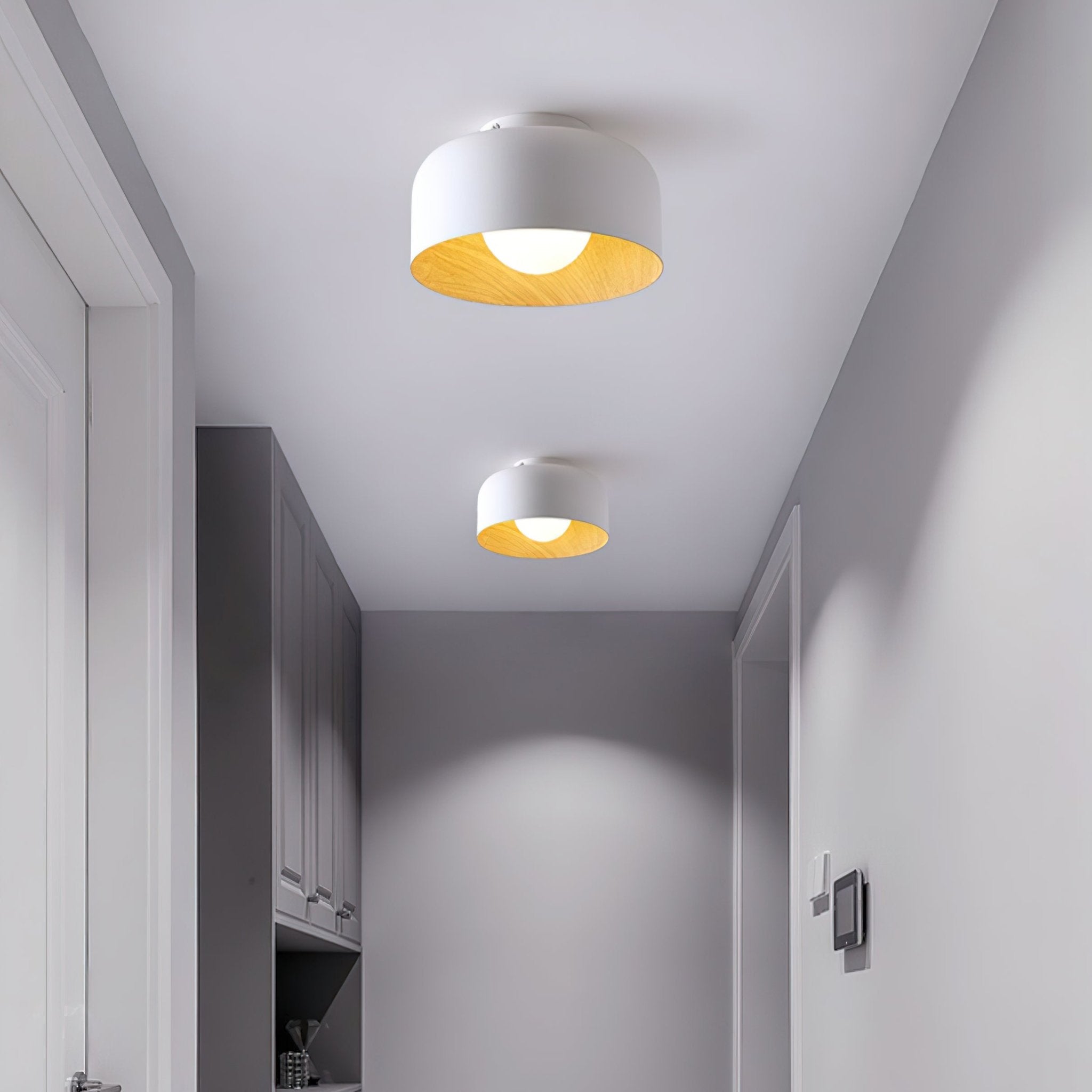 Zarnivo Plafondlamp