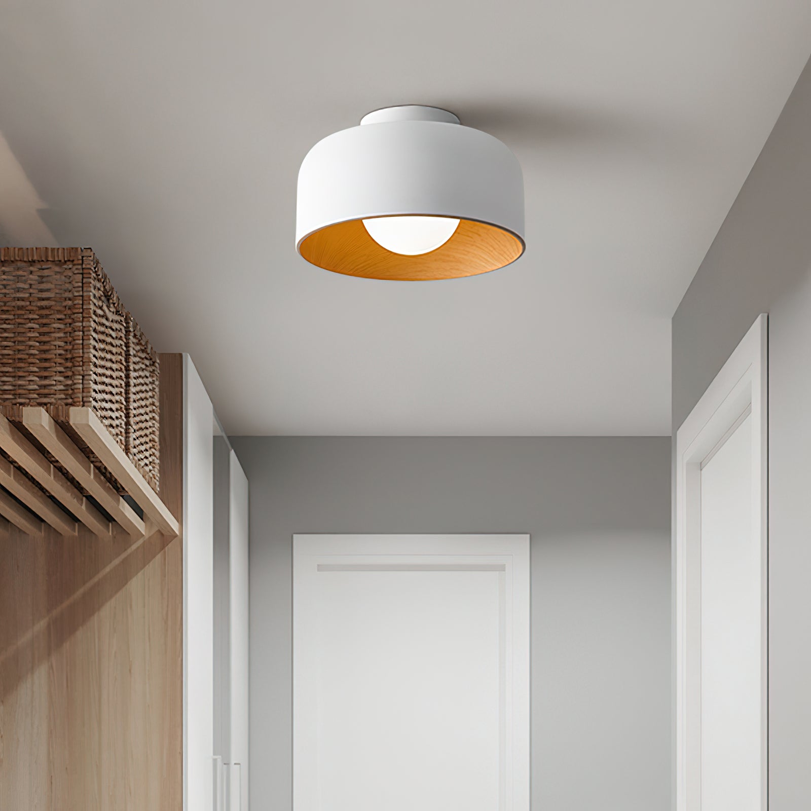 Zarnivo Plafondlamp