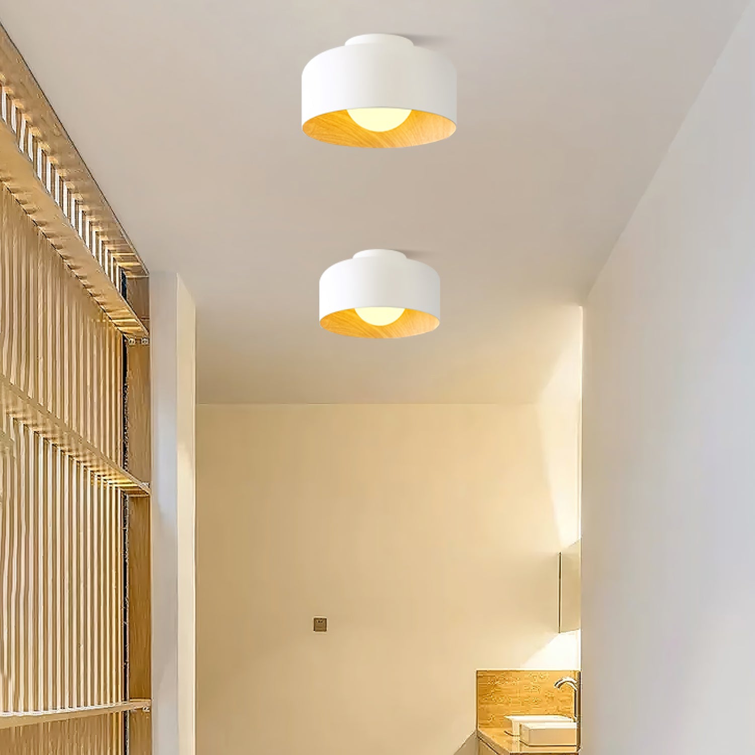 Zarnivo Plafondlamp