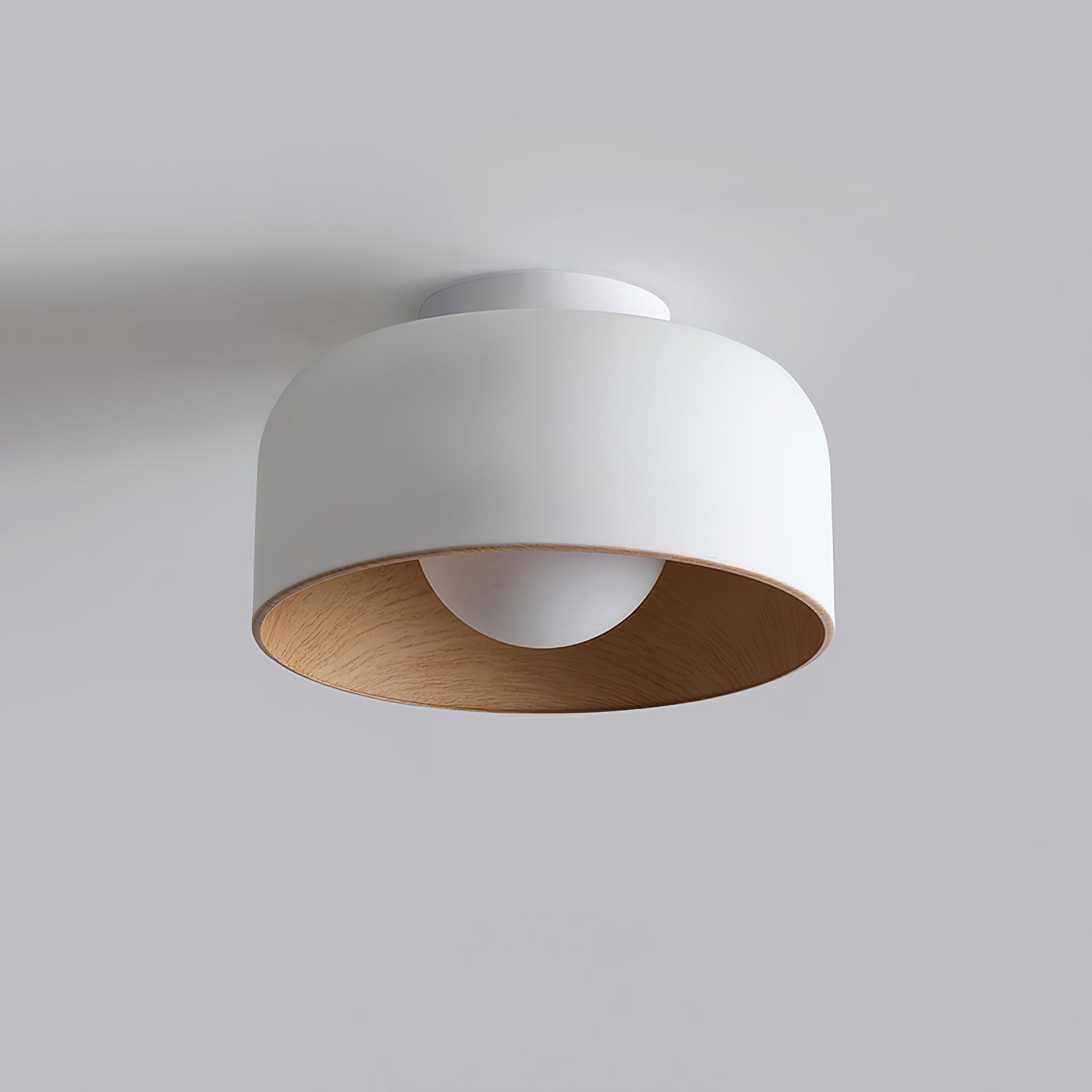 Zarnivo Plafondlamp
