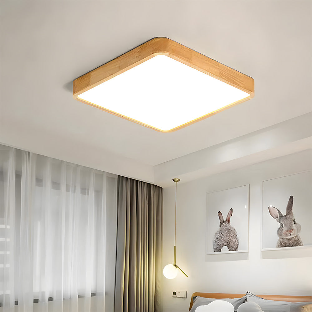 Erlivon Plafondlamp