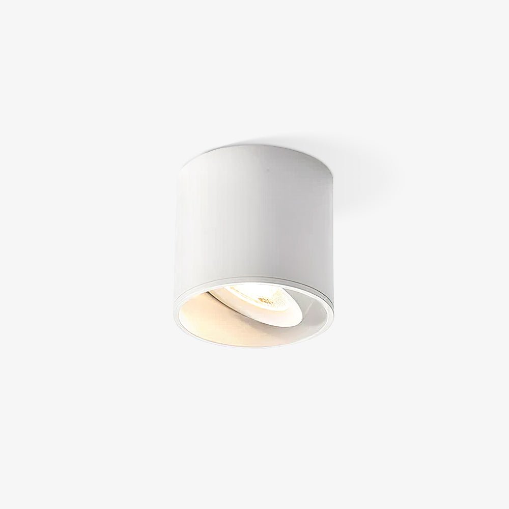 Lenu Cylinder Plafondlamp