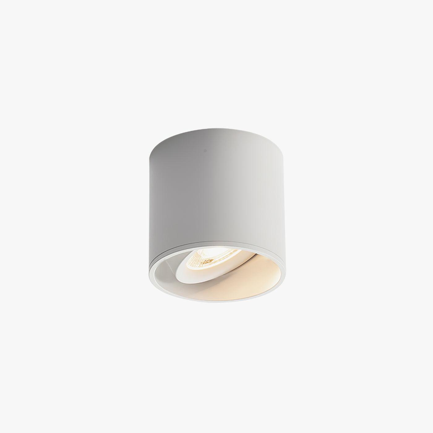 Lenu Cylinder Plafondlamp