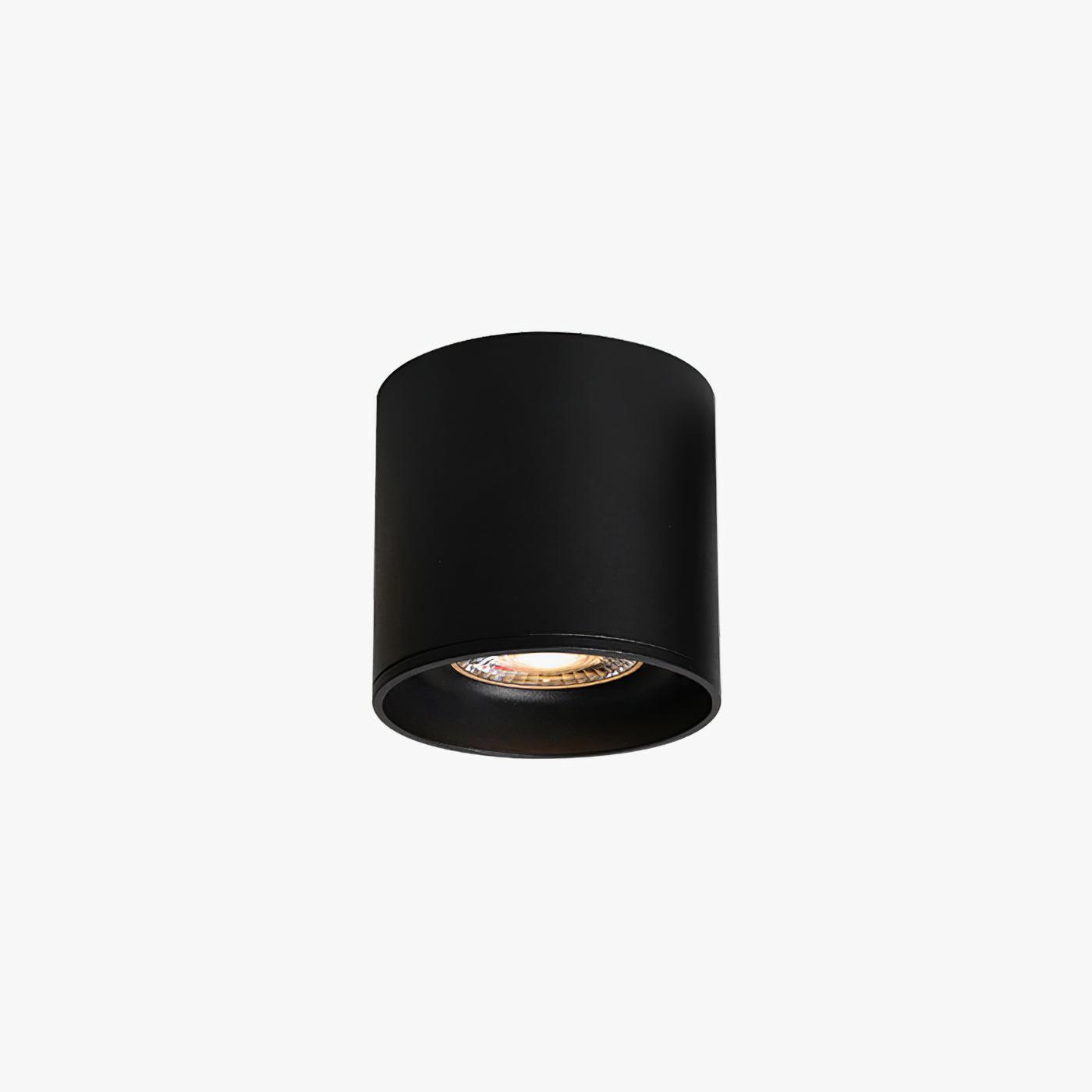 Lenu Cylinder Plafondlamp