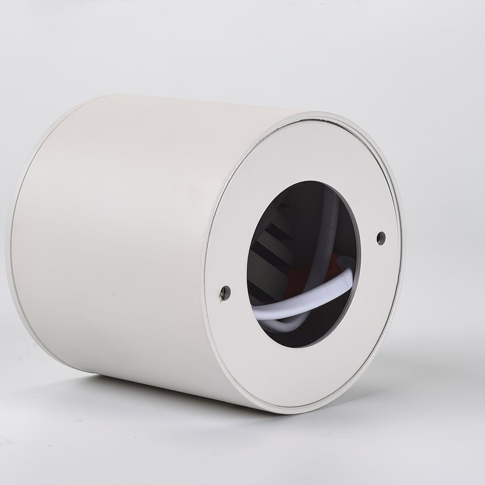 Lenu Cylinder Plafondlamp